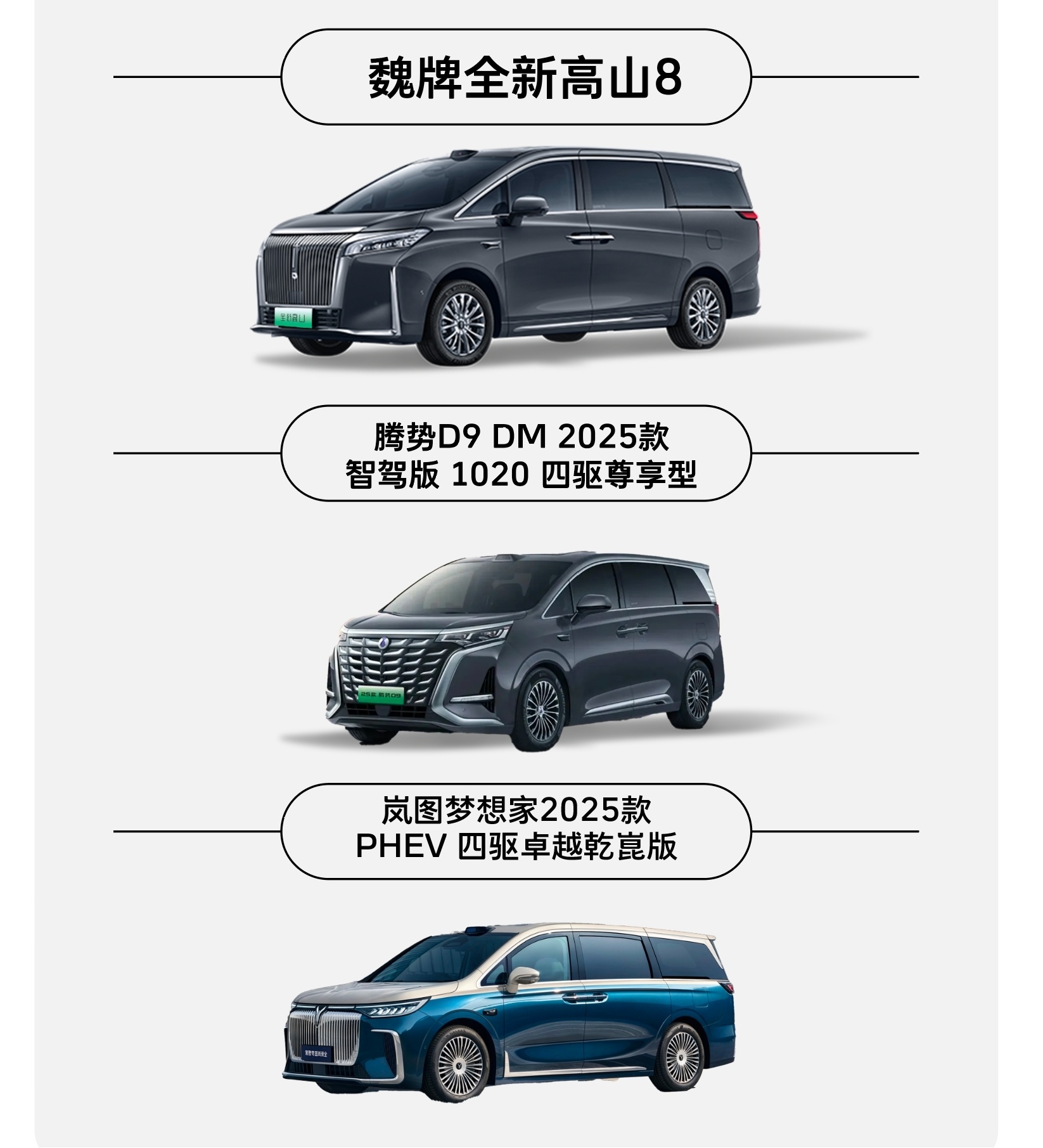 魏牌全新高山亮相，这三款国产顶流MPV谁更适合你？