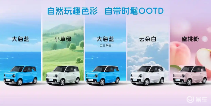 4.29万起售，睿蓝蓝气球的“硬伤”与“转机”