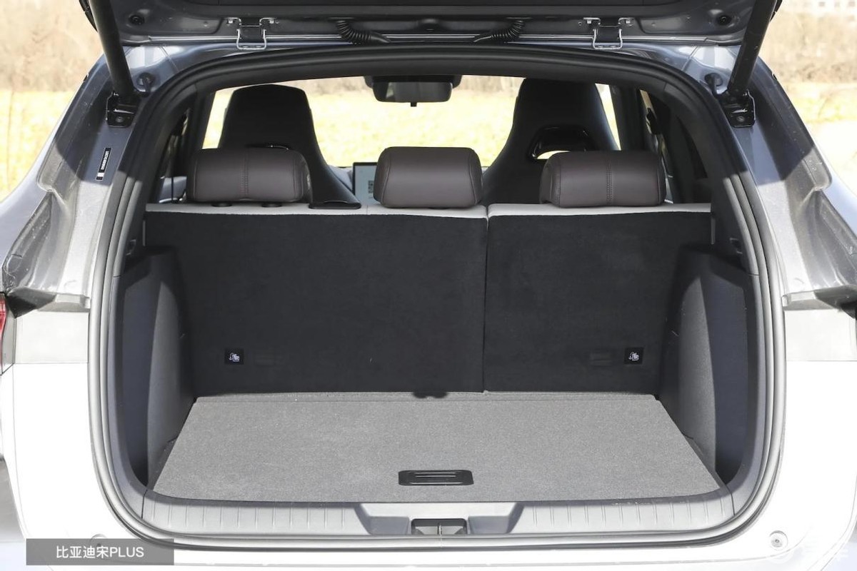 好口碑的宋PLUS DM-i与新热门长安启源Q07，选谁